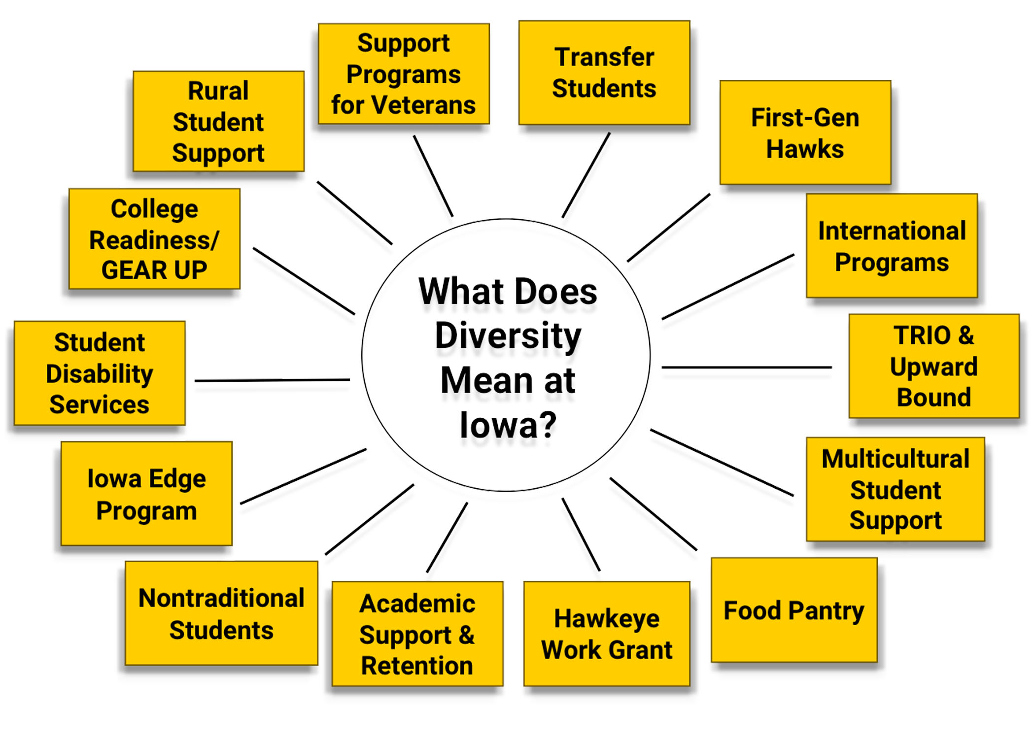 What is Diversity Graphic
