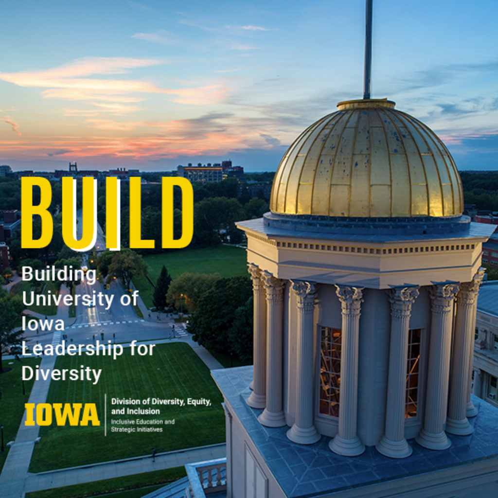 BUILD: Making the Paradigm Shift from Diversity to Diversity, Equity, and Inclusion promotional image
