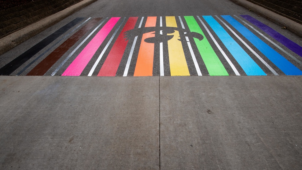 Pride Chalk Rainbow